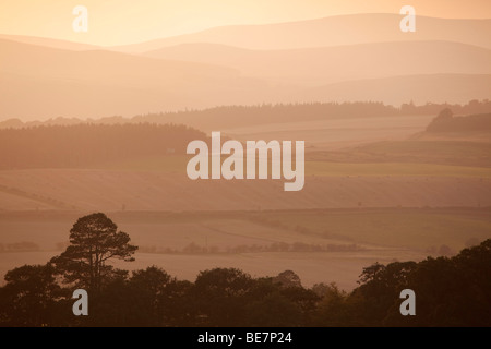 An evening view from Chillingham in Northumberland over fields and woodland towards the Cheviot Hills. England, United Kingdom Stock Photo