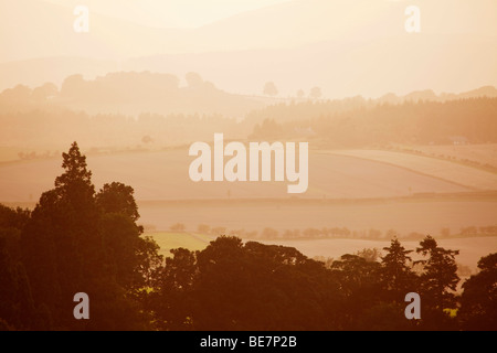 An evening view from Chillingham in Northumberland over fields and woodland towards the Cheviot Hills. England, United Kingdom Stock Photo