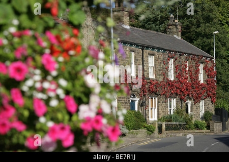 Town of Bollington, England. Hanging flower basket in Bollington’s Palmerston Street. Stock Photo