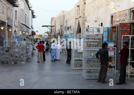 A busy evening in the pet market which forms part of Qatar's souq Waqif, in September 2009.