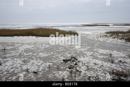 The frozen saltmarsh of Schiermonnikoog - De bevroren kwelder van Schiermonnikoog Stock Photo