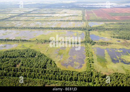 Nature reserve Seda Marsh (former peat mining fields flooded) from bird's point of view Stock Photo