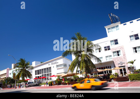 The Catalina Beach Club Hotel under blue sky, Collins Avenue, South Beach, Miami Beach, Florida, USA Stock Photo