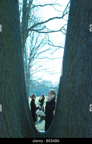 Females standing outdoors, using landline phones, viewed through tree trunks Stock Photo