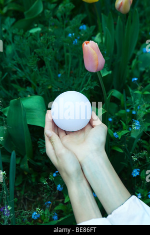 Hands holding sphere in garden, close-up Stock Photo