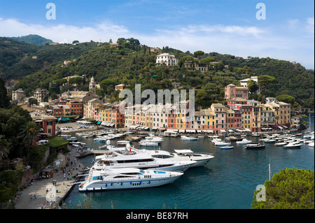 Luxury yachts in the harbour at Portofino with the town behind, Italian Riviera, Liguria, Italy Stock Photo