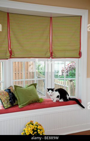 Home Interior Window Seat with House Cat, USA Stock Photo