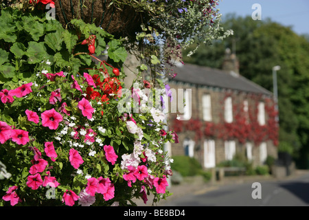 Town of Bollington, England. Hanging flower basket in Bollington’s Palmerston Street. Stock Photo