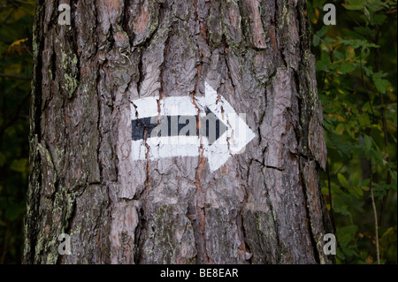 arrow painted on tree trunk Stock Photo