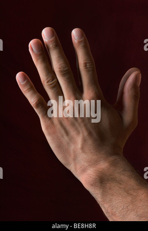 Hands clasped in prayer Stock Photo