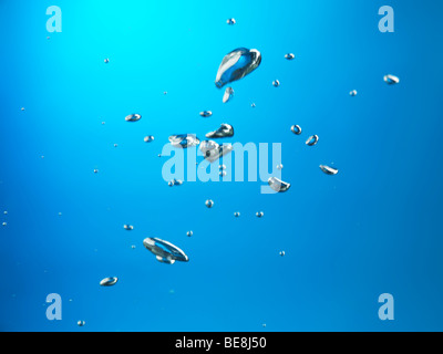 Oxygen bubbles rising to the surface of water Stock Photo