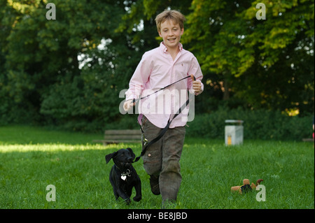 Boy, 10, running with a labrador puppy on a leash across a meadow Stock Photo