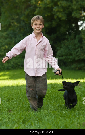 Boy, 10, running with a labrador puppy on a leash across a meadow Stock Photo