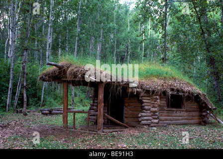 Glenora near Telegraph Creek, BC, British Columbia, Canada - Old Log Cabin with Overgrown Sod Grass Roof,  Rustic House, Forest Stock Photo