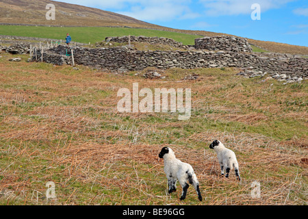 Stone ruins of a beehive hut village on Slea Head Penninsula Stock ...