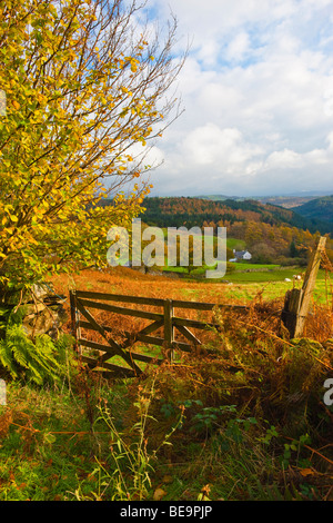 Ty n Y Llwyn Farm Stock Photo Alamy ty-n-y-llwyn-farm-stock-photo-alamy