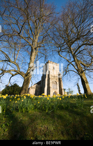 The Parish Church of St Mary the Virgin, Battle, East Sussex Stock Photo