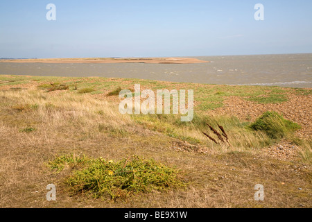 The end of Orford ness spit from Shingle Street, Hollesley, Suffolk, England Stock Photo
