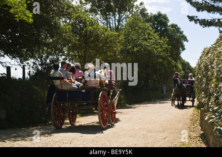 dh  SARK SARK ISLAND Tourists sightsee horsedrawn carriages country lane horse roads carriage Stock Photo