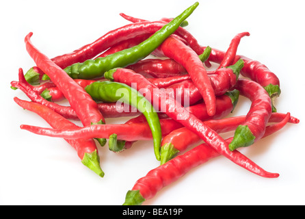 Home Grown Red and Green Chillies Stock Photo