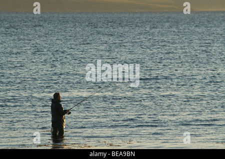 dh Angler rod fishing SCAPA FLOW ORKNEY Wading fisherman off shore evening dusk casting sea Stock Photo