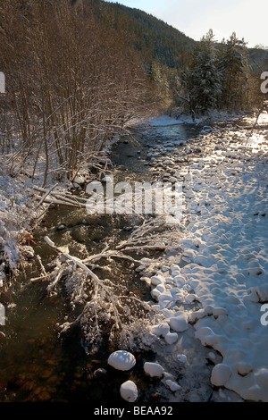 Iskar river with snowy stones, near Mala Tsarkva. Winter in Rila mountain. Stock Photo