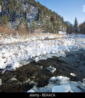 Iskar river with snowy stones, near Mala Tsarkva. Winter in Rila mountain. Stock Photo