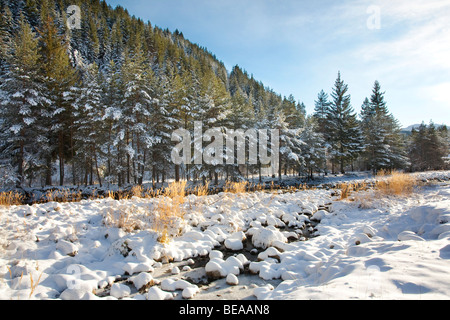 Iskar river with snowy stones, near Mala Tsarkva. Winter in Rila mountain. Stock Photo