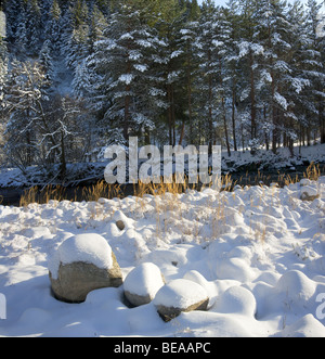 Iskar river with snowy stones, near Mala Tsarkva. Winter in Rila mountain. Stock Photo