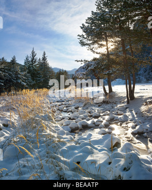 Iskar river with snowy stones, near Mala Tsarkva. Winter in Rila mountain. Stock Photo