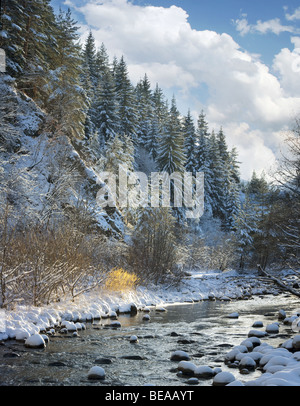 Iskar river with snowy stones, near Mala Tsarkva. Winter in Rila mountain. Stock Photo