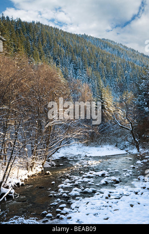 Iskar river with snowy stones, near Mala Tsarkva. Winter in Rila mountain. Stock Photo