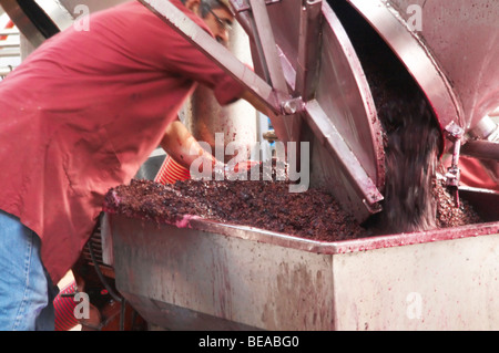 emptying fermentation tanks roquevale alentejo portugal Stock Photo