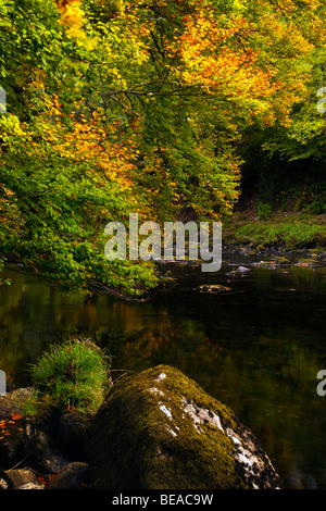 Early autumn colours on the banks of Avon Llugwy in Betws-y-Coed Stock Photo