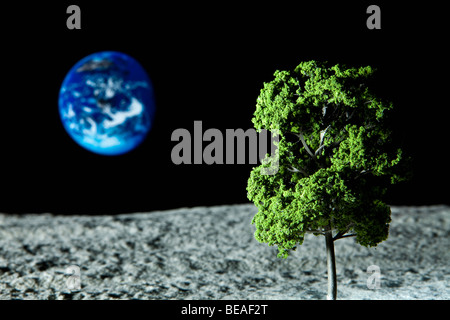 A tree growing on the moon and Planet Earth in the background Stock Photo