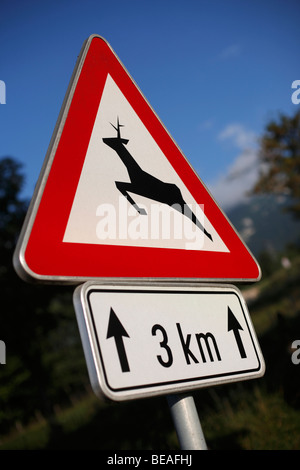 A road sign warning drivers of the risk of deer in the road in the Soca valley near Bovec in western Slovenia Stock Photo