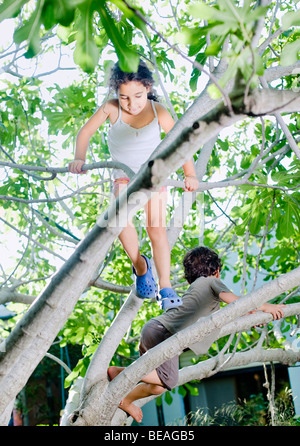 young girl and boy climbing on a fig tree Stock Photo