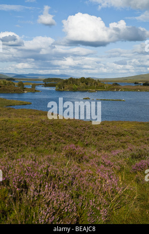 dh  RANNOCH MOOR ARGYLL Loch Ba moorland heather heathland landscape Stock Photo