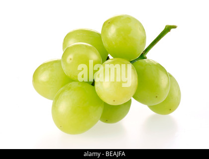 GREEN GRAPES ON WHITE Stock Photo
