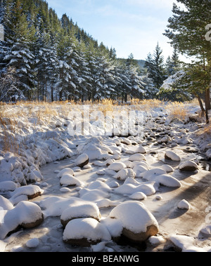 Iskar river with snowy stones, near Mala Tsarkva. Winter in Rila mountain. Stock Photo