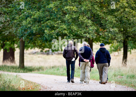 Group of people walking in the forest Stock Photo