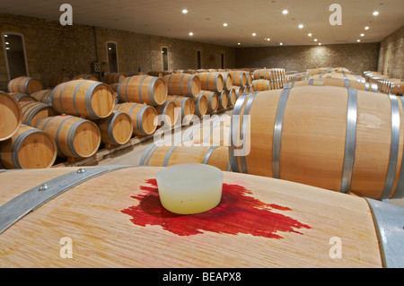 silicone bung on barrel barrel aging cellar chateau reysson haut medoc bordeaux france Stock Photo