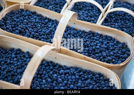 Fresh Berries at Jean-Talon Market (March Jean-Talon) in Montreal Canada Stock Photo