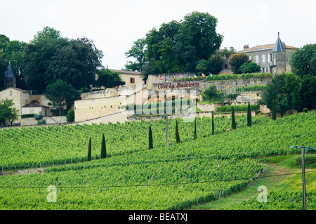 clos la madeleine saint emilion bordeaux france Stock Photo