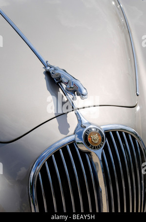 Jaguar mark 2 bonnet grill & symbol Stock Photo