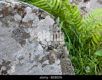 Gravestone weathered and flaking with lost inscription covered in lichen Wales UK Stock Photo