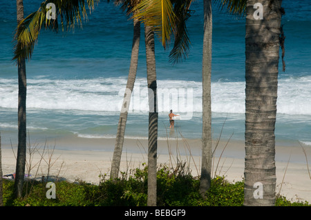 beautiful beach spied through the palm trees in Bali Indonesia Stock Photo