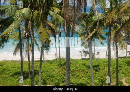 beautiful beach spied through the palm trees in Bali Indonesia Stock Photo