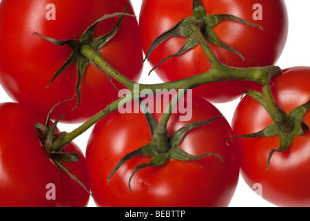 fresh red tomatoes isolated on a pure white background Stock Photo