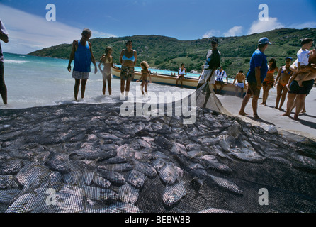 Fishermen hauling in young Jacks caught in gill net, Natal, Brazil - Atlantic Ocean Stock Photo